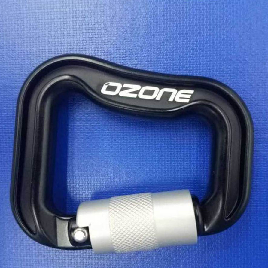 Alloy Karabiner (pair)