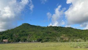 Areguling-4