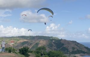 Areguling-8